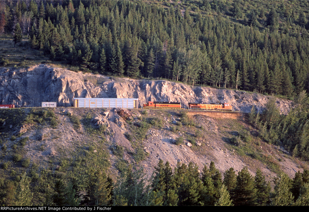 BNSF 5363